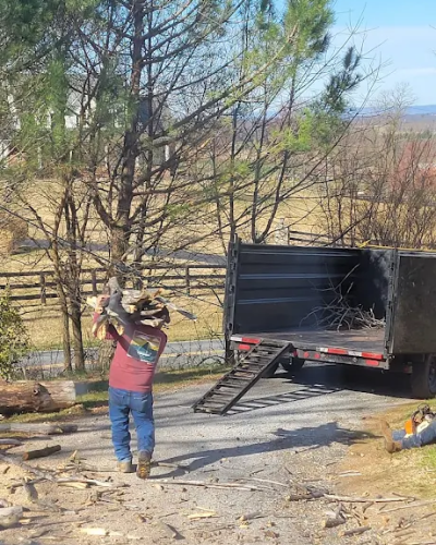 MAQUINS TREE SERVICE LANDSCAPING